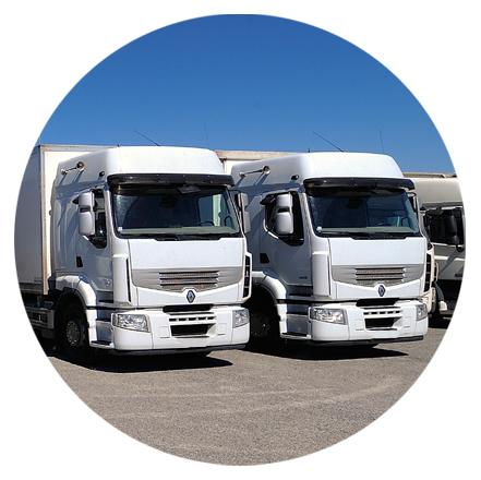 camions-transporteurs-poids-lourds-mgj-transports